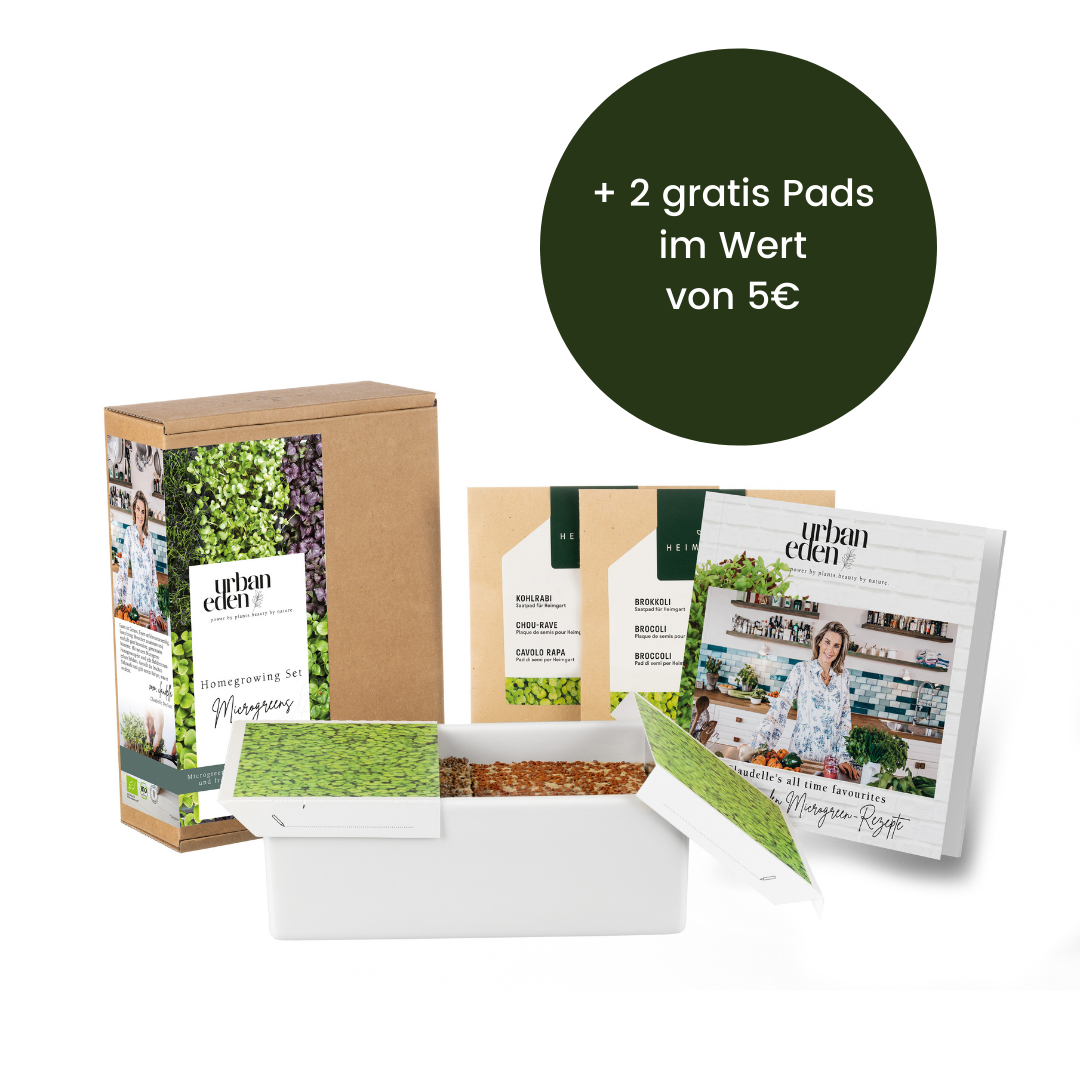 Microgreens Homegrowing Set + 2 Saatpads gratis im Wert von 5€