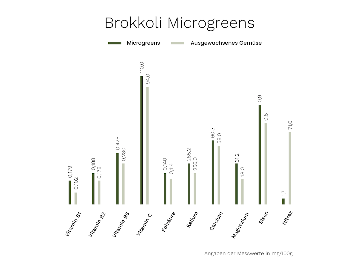 Microgreens Brokkoli