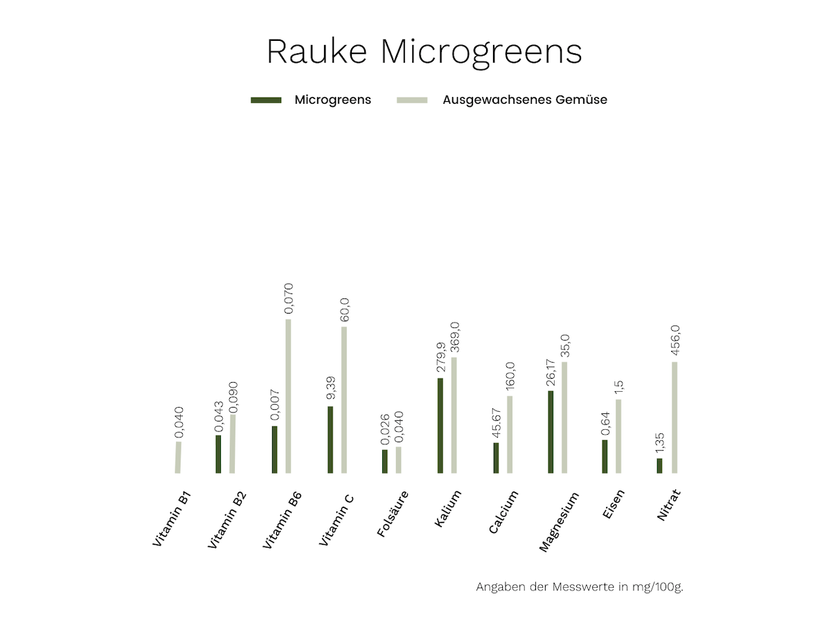 Microgreens Rauke