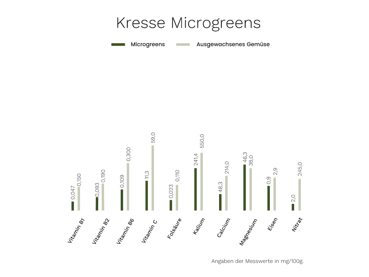 Microgreens Kresse