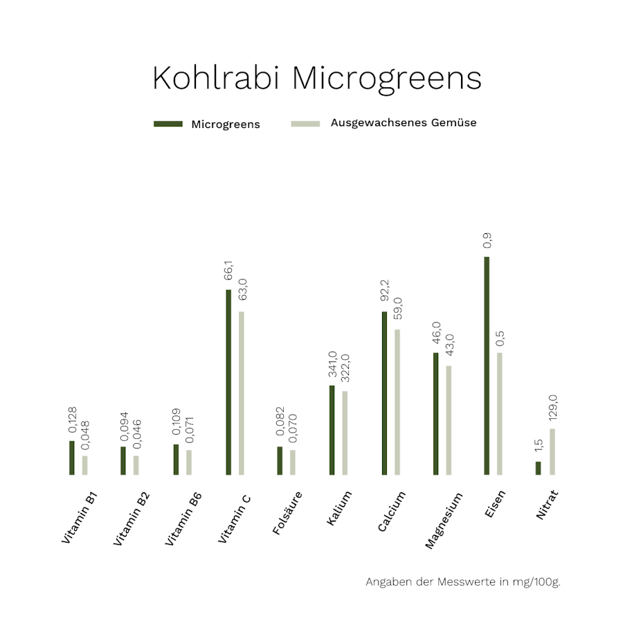 Microgreens Kohlrabi