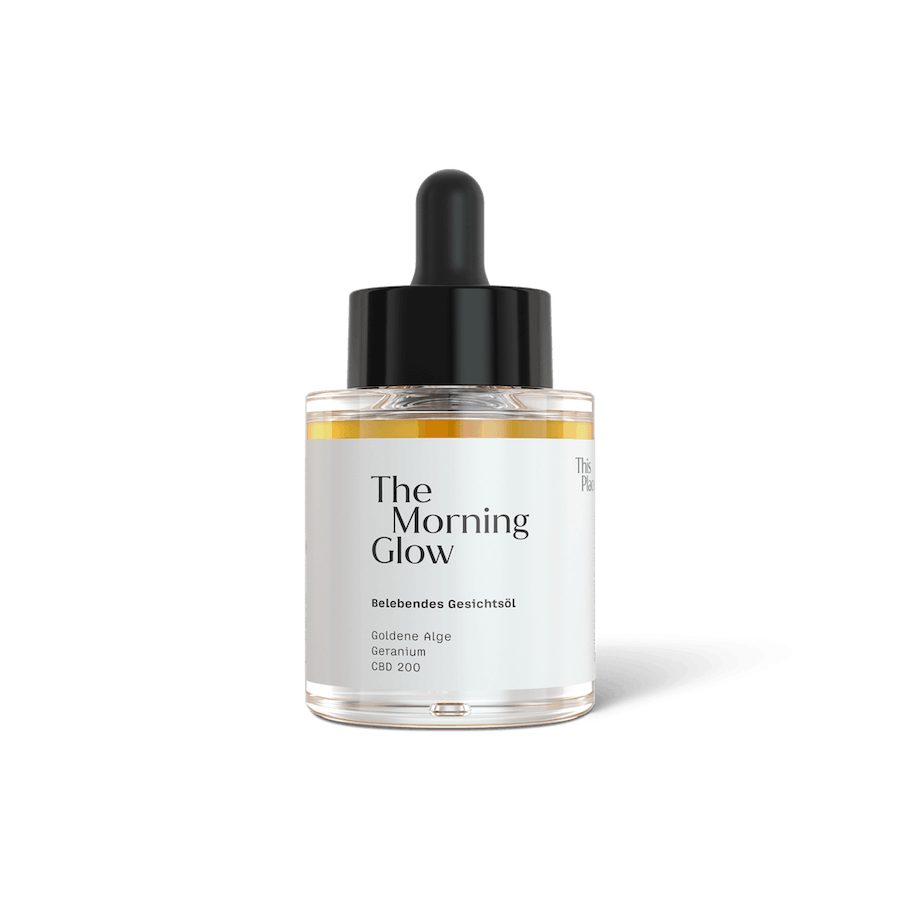 This Place The Morning Glow Oil Freisteller